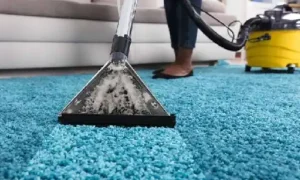 جاروبرقی و نظافت فرش ها چقدر اهمیت دارد؟