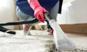 اهمیت نظافت فرش ها چیست؟